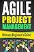 Agile Project Management: T...