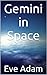 Gemini in Space