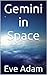 Gemini in Space by Eve Adam