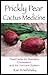 Prickly Pear Cactus Medicine by Ran Knishinsky
