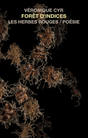 Forêt d'indices (Paperback)