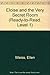 Eloise and the Very Secret Room (Ready-to-Read. Level 1)
