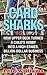 Card Sharks: How Upper Deck Turned a Child's Hobby into a High-Stakes, Billion-Dollar Business