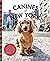 Canines of New York