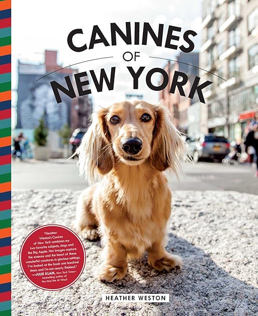 Canines of New York