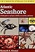 Atlantic Seashore: A Field Guide to Sponges, Jellyfish, Sea Urchins, and More (Peterson Field Guides)