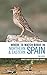 Where to Watch Birds in Northern and Eastern Spain