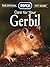 Care for your Gerbil