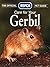 Care for your Gerbil by RSPCA