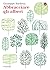 Abbracciare gli alberi