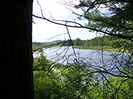 The Adirondack Cannon Mystery (Kindle Edition)