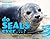 Do Seals Ever . . . ?