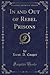 In and Out of Rebel Prisons (Classic Reprint)