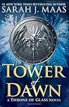 Book cover for Tower of Dawn (Throne of Glass, #6)