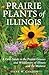 Prairie Plants of Illinois by Steve W. Chadde