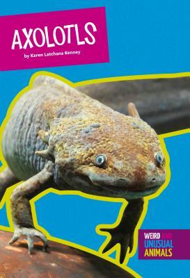Axolotls (Weird and Unusual Animals)
