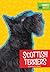 Scottish Terriers (Favorite Dog Breeds)