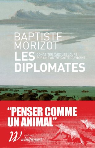 Les Diplomates : Cohabiter avec les loups sur une autre carte du vivant