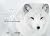 Hidden in Nature: The Art o...