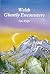 Welsh Ghostly Encounters