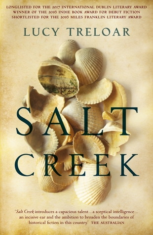 Salt Creek (Paperback)