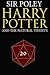 Harry Potter and the Natural 20 (Harry Potter and the Natural 20, #1-3)
