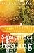 Sometimes the Healing by Sally Anne Clark