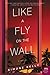 Like a Fly on the Wall