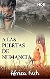 A las puertas de Numancia A las puertas de Numancia