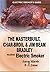 ELECTRIC SMOKER'S GUIDE. The MasterBuilt, Char-Broil and Jim ... by Aaron Mavis