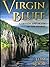 Virgin Bluff by Tom Koob