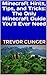 Minecraft Hints, Tips, and Tricks by Trevor Clinger