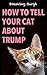How To Tell Your Cat About Trump