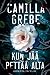 Kun jää pettää alta by Camilla Grebe Kun jää pettää alta by Camilla Grebe