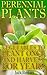 Perennial Plants by Jack Bowers