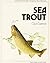 Sea trout