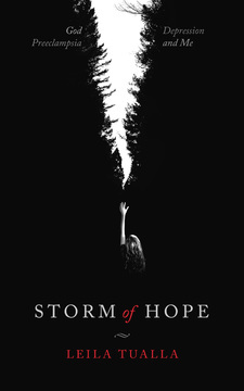 Storm of Hope: God, Preeclampsia, Depression and me (Paperback)
