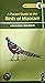 A Pocket Guide to the Birds...