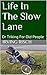 Life In The Slow Lane by Irving Risch