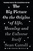 The Big Picture: On the Origins of Life, Meaning, and the Universe Itself