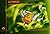 Butterflies - A Photographic Compendium of Butterflies of Cen... by Aseem Shrivastava
