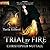 Trial By Fire (Schooled in Magic, #7)