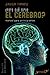 ¿Para qué sirve el cerebro? Manual para principiantes