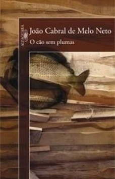 O Cão sem Plumas (Paperback)