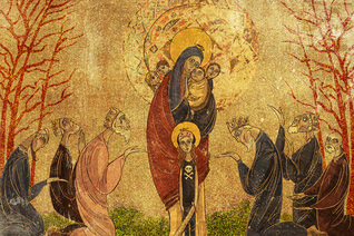 Probably Still the Chosen One (ebook)