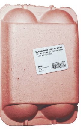 Släng den här boken − Den är snart en äggkartong (Paperback)