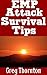 EMP Attack Survival Tips: T...