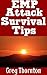 EMP Attack Survival Tips: The Top Beginner Survival Tips On How To Outlast And Survive An EMP Attack That Takes Us Back To The Stone Ages