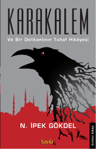 Karakalem ve Bir Delikanlının Tuhaf Hikayesi (Paperback)