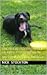 The Day of the Flying Pot Roast (The Absurd Adventures of Monkey, Puppy, and Lion, #1)
